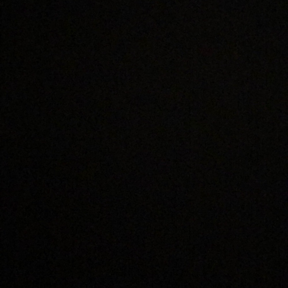 Meet your Posher, Phoebe